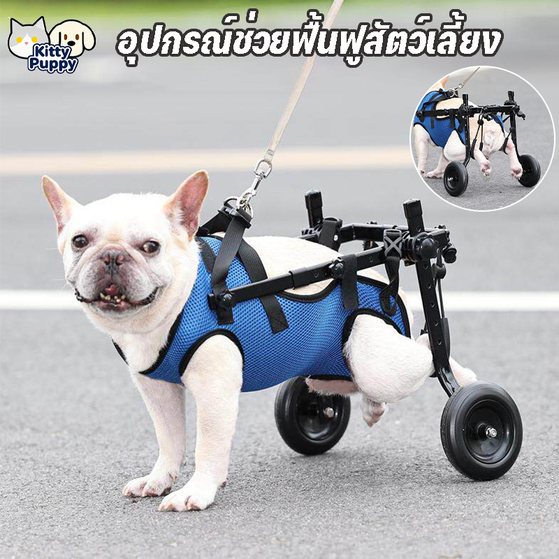 วีลแชร์สุนัขแบบปรับได้ อุปกรณ์ช่วยฟื้นฟูสัตว์พิการ รถเข็นสัตว์เลี้ยง สำหรับทุกสายพันธุ์ วีลแชร์สุนัข