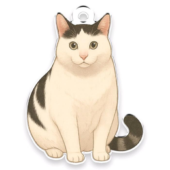 Kucing meme, huh?, meh, helo gantungan kunci อะคริลิค ganci - huh, 3 mm