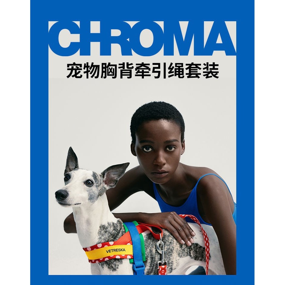 Uncarried Chroma Pet Chest Back Leash Set Quick Sleeve Large Medium Small Dogs Explosion-Proof Dog Walking Leash