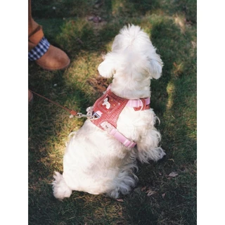 Tagi. Signal Overalls Pet Harness Pet Retractable Leash Wrist Strap สายจูงสุนัขแบบหดได้ลายแอปเปิ้ล