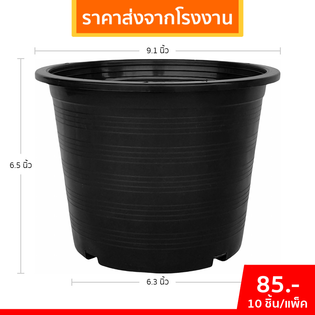 กระถาง กระถางทรงถ้วย กระถางเตี้ย ขนาด เบอร์ 10 9.5 นิ้ว สีดำ ยกมัด 10 ใบ - รูปที่ 5
