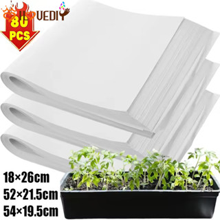 [เอชจีบี]20/40/80แผ่นต้นกล้าแผ่นกระดาษใจกว้าง, สถานรับเลี้ยง…