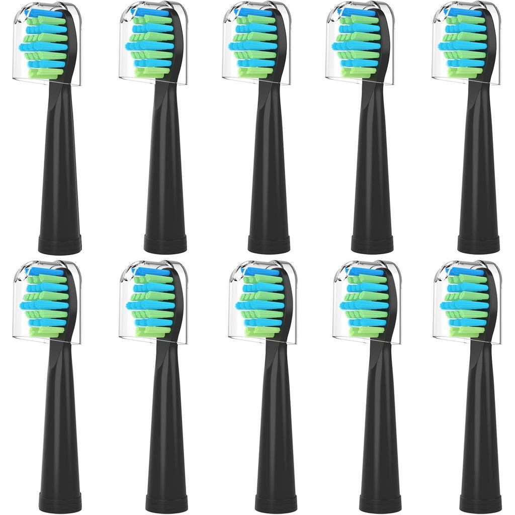 หัวเปลี่ยนแปรงสีฟันสําหรับ Fairywill, หัวแปรงทดแทนสําหรับ Fairy Will, หัวแปรงสีฟันไฟฟ้าสําหรับ FW-50