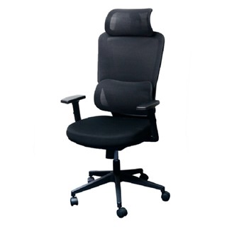 FURRADEC เก้าอี้เพื่อสุขภาพ รุ่น Daily สีดำ