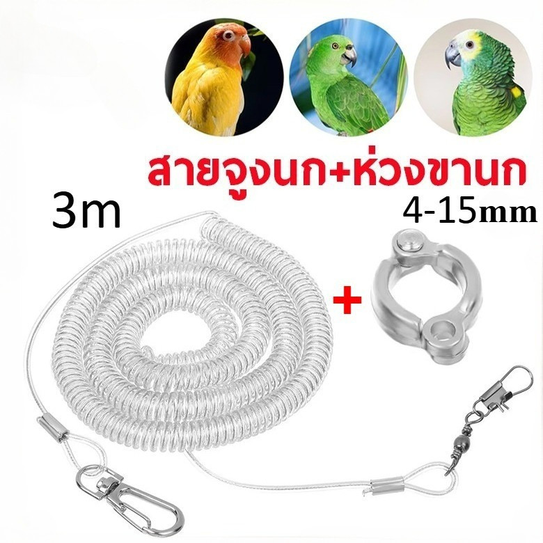 ห่วงขานกแก้ว สายยืดคล้องขานก ห่วงเปิดนก นกแก้ว ฟอพัส เลิฟเบิร์ สแตนเลส คล้องสายจูง สายยืด