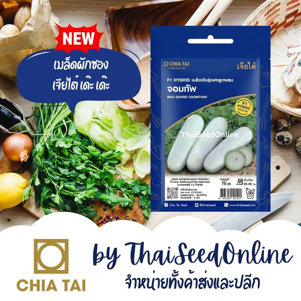 CTSE เมล็ดพันธุ์ แฟง จอมทัพ 2กรัม ตราเจียไต๋ Wax Gourd Seeds