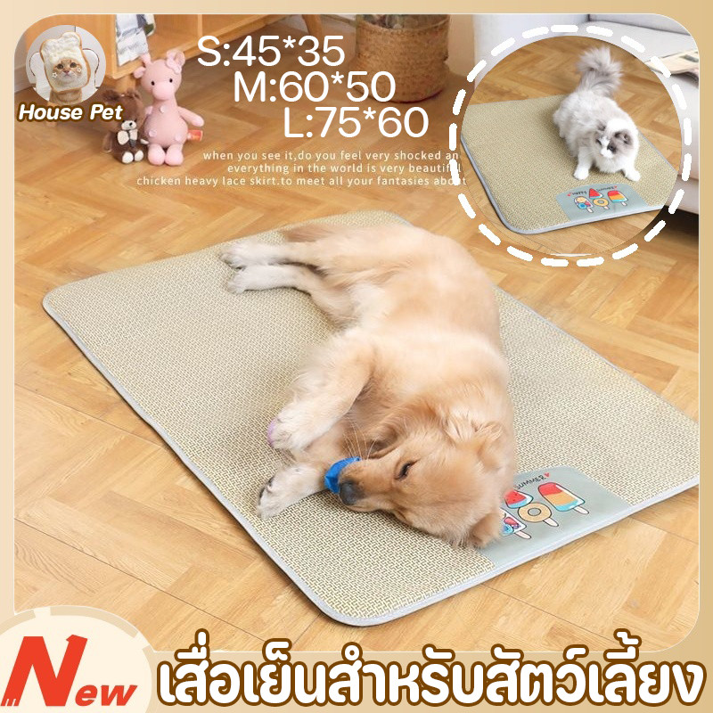 ที่นอนเย็นสัตว์เลี้ยง เสื่อเย็นสำหรับสัตว์เลี้ยง กันข่วน ป้องกันการลื่น ระบายอากาศเยี่ยม ใช้ได้ฤดูร้อน ราคา ถูกที่สุด ดีลบีเคเค รูปภาพหลัก