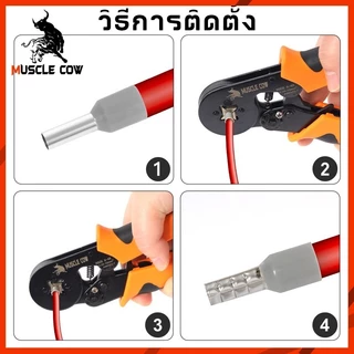 สินค้าใหม่ ราคาพิเศษ MUSCLE COW HSC8 6-4A ชุดคีมย้ำหางปลากลม หางปลากลม+คีมย้ำ(แบบบรรจุกล่อง 1100/1200/1600ชิ้น)