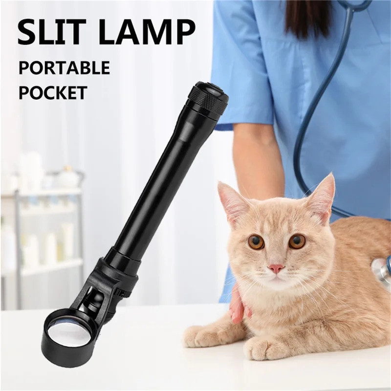 สัตว์เลี้ยงสัตวแพทย์สุนัขแมวม้า VET Eye ตรวจสอบ Cataract Cornea เปลือกตา Conjunctiva Sclera Iris Sli