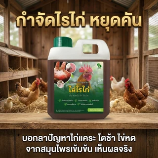 [ขายดี] ดร.ฟาร์ม น้ำยาสมุนไพรกำจัดไรไก่ ริ้น เห็บ ปรสิตร สูตรเข้มข้น ไล่ยกเล้า
