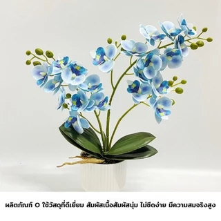 ดอกไม้ประดิษฐ์ ต้นไม้กระถางฟาแลนนอปซิส ดอกกล้วยไม้ประดิษฐ์ ดอกกล้วยไม้ 21 ดอก สําหรับตกแต่งบ้าน งานแต่งงาน ปาร์ตี้