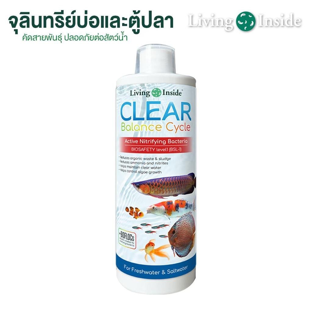 จุลินทรีย์แบคทีเรียสำหรับบ่อปลาและตู้ปลา Living Inside