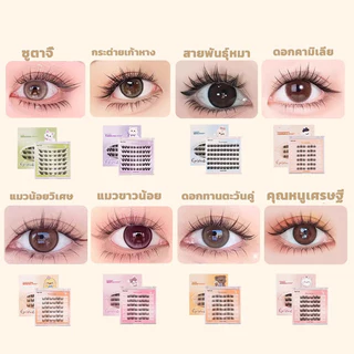 ขนตาปลอม กาวในตัว ติดง่าย เรียงเส้นสวย เป็นธรรมชาติ มีให้เลือกถึง 8 ทรง DIY ไม่ต้องใช้กาว ขนตาปลอม.
