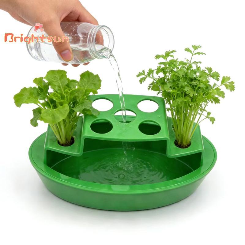 [BT-t] หัวหอมสปริงขนาดกะทัดรัด ReGrow Planter เคาน์เตอร์ Hydroponic Regrow Station ถาดด้านในแบบถอดได
