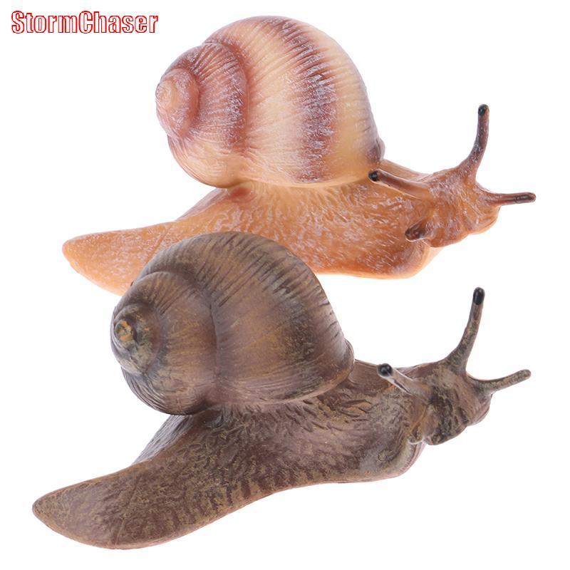 [Storm-t] จําลองสัตว์แมลงรุ่นมินิสัตว์หอยทากการเจริญเติบโตรอบเครื่องประดับ