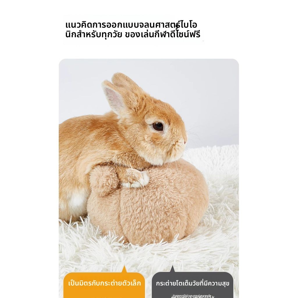 กระต่ายแคระทุ่มเทกรงเล็บบดของเล่นอุปกรณ์บรรเทาความเบื่อหน่ายหนูตะเภาอุปกรณ์ระบายผู้ใหญ่สัตว์เลี้ยงหนุ่ม - รูปที่ 7