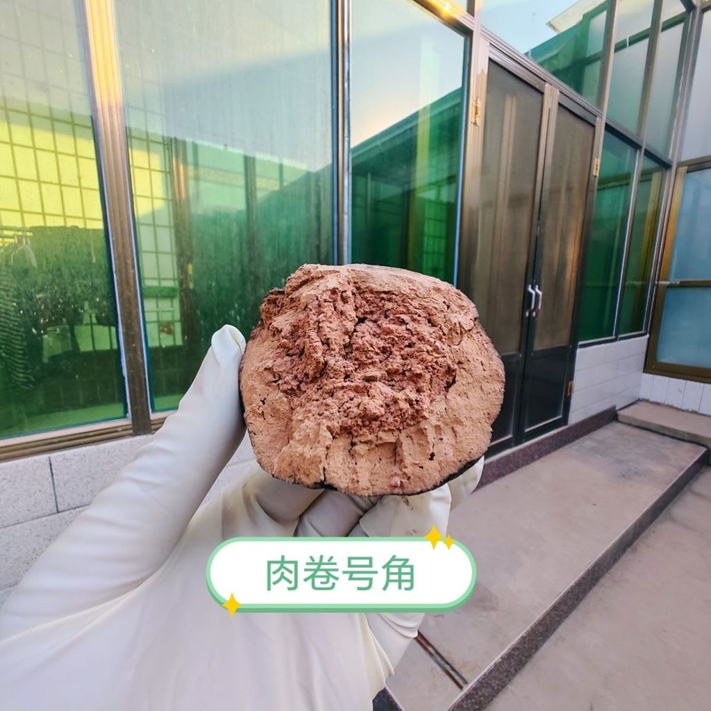 Influencer Meat Roll No. 1.20