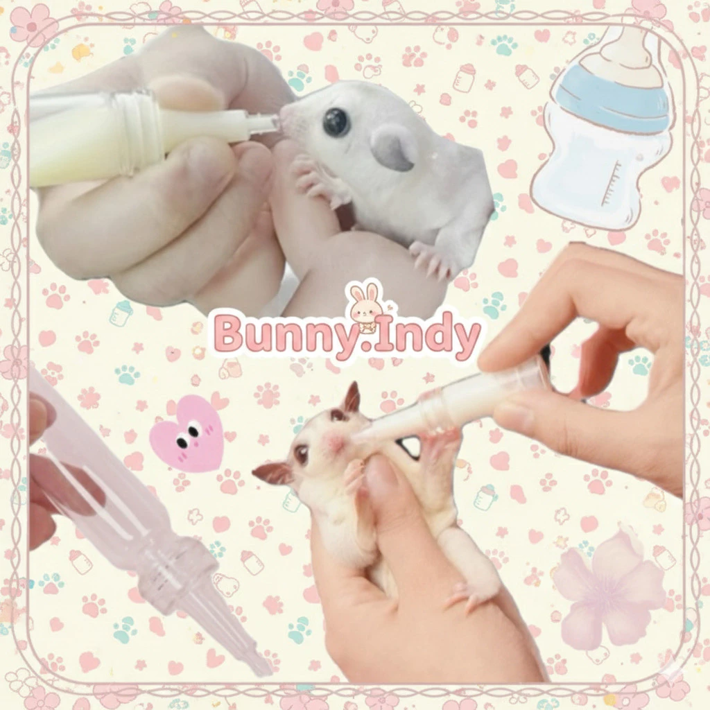 Bunny.indy ขวดนมชูการ์ไกรเดอร์ ขวดนมกระรอก