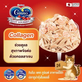 (ครึ่งลัง 24 ซอง) Ginno Premium Wet Cat Food กินโนะ อาหารเปียกแมว ไม่เติมเกลือ เนื้อแน่น ขนาด 60g