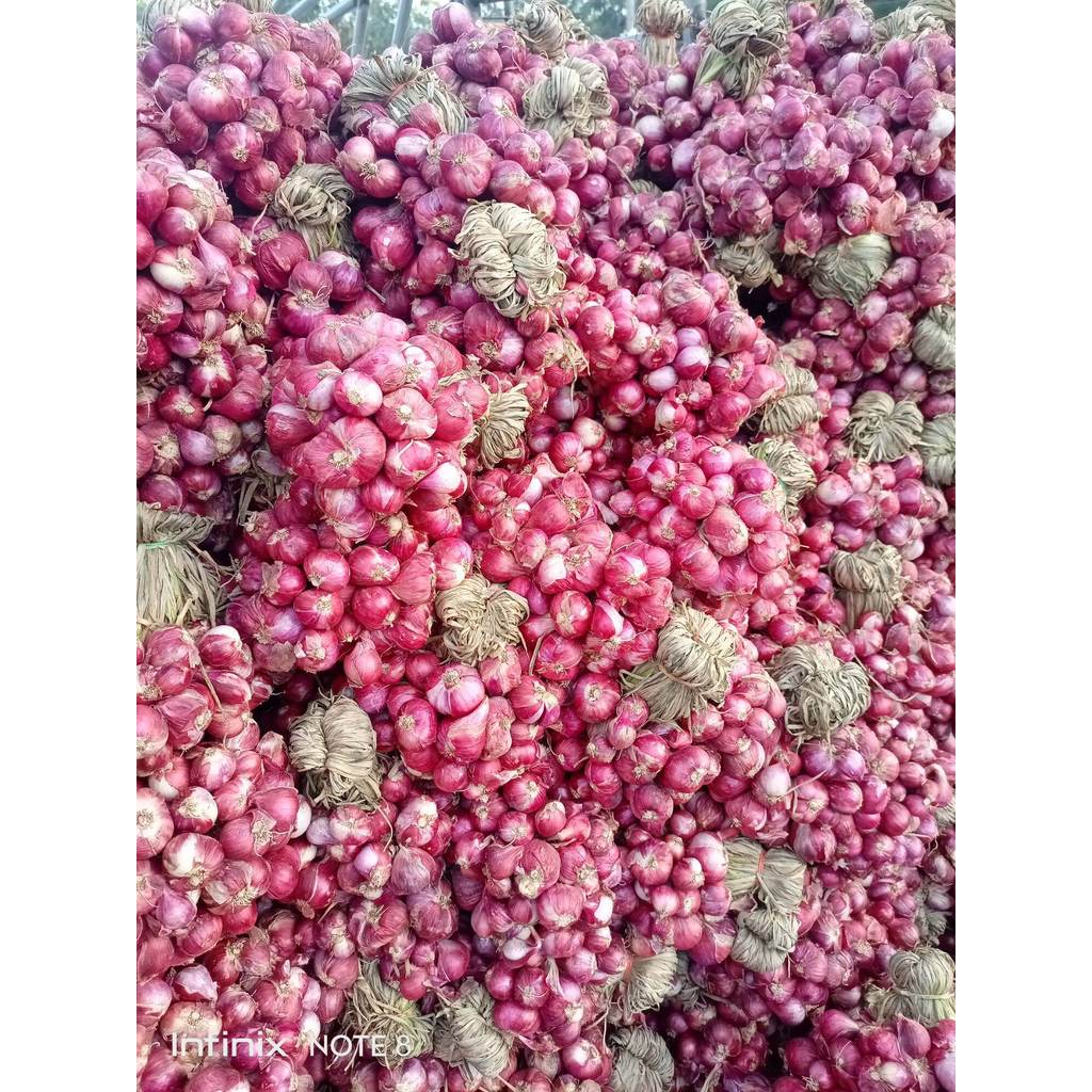 mm หอมแดงมัดจุกศรีสะเกษ1กก. 45บาท คัดพิเศษเกรดA สีแดงสวย แก่จัดเนื้อแน่น เก็บได้นาน