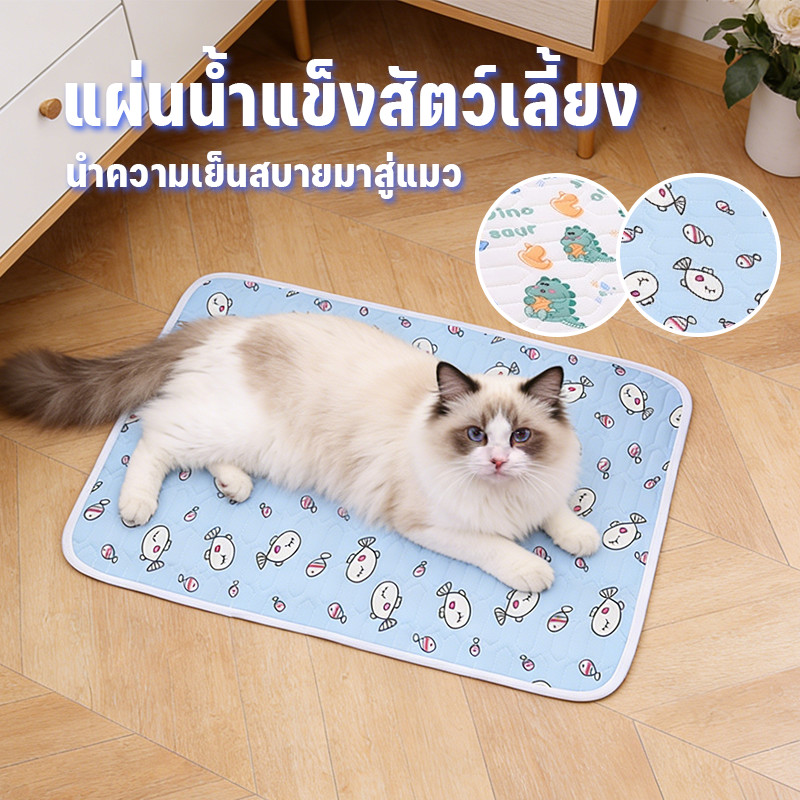 ที่นอนเย็นสัตว์เลี้ยง Pet Cool Mat วัสดุลาเท็กซ์ เย็นสบาย ใช้ได้ทั้งแมว-สุนัข ระบายความร้อนที่ยาวนาน เหมาะฤดูร้อน