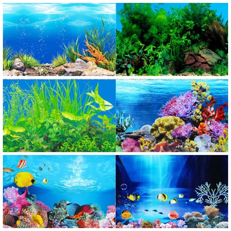 สติ๊กเกอร์พื้นหลังตู้ปลาสองด้าน ภาพ HD 3D ความละเอียดสูง พร้อมกาวติด กระดาษพื้นหลังตู้ปลาคุณภาพหนา ไม่ซีดจาง ไม่โปร่งแสง ตกแต่งสไตล์ทะเล , (ความสูง)30/40/50/60ซม.
