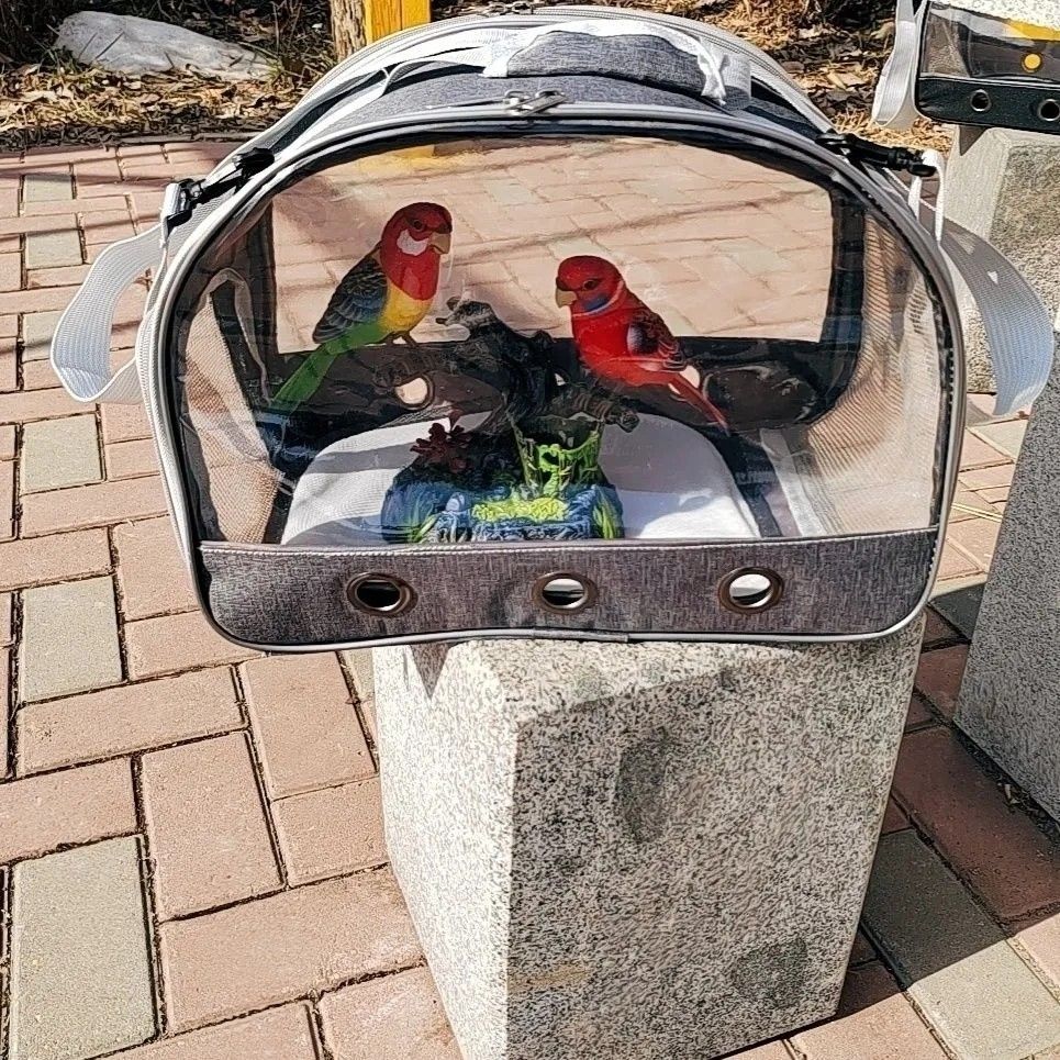 New Product#Transparent Portable Travel Bag for Pets, Guinea Pigs, Parrots, Hamsters, Breathable Sin