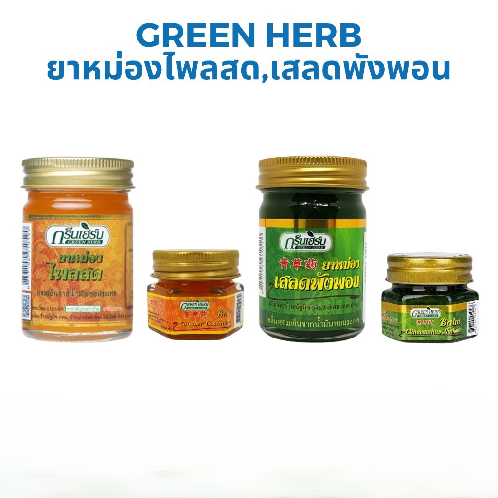 Green Herb ยาหม่อง กรีนเฮิร์บ ยาหม่องไพลสด ยาหม่องเสลดพังพอน ขนาด 10 / 50 กรัม