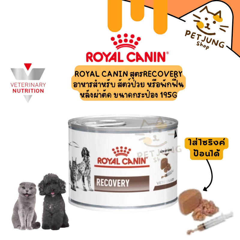 Royal Canin Recovery อาหารเปียกประกอบการรักษา สัตว์ป่วย หรือพักฟื้นหลังผ่าตัด กระป๋อง 195g