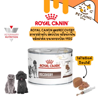 Royal Canin Recovery อาหารเปียกประกอบการรักษา สัตว์ป่วย หรือพักฟื้นหลังผ่าตัด กระป๋อง 195g