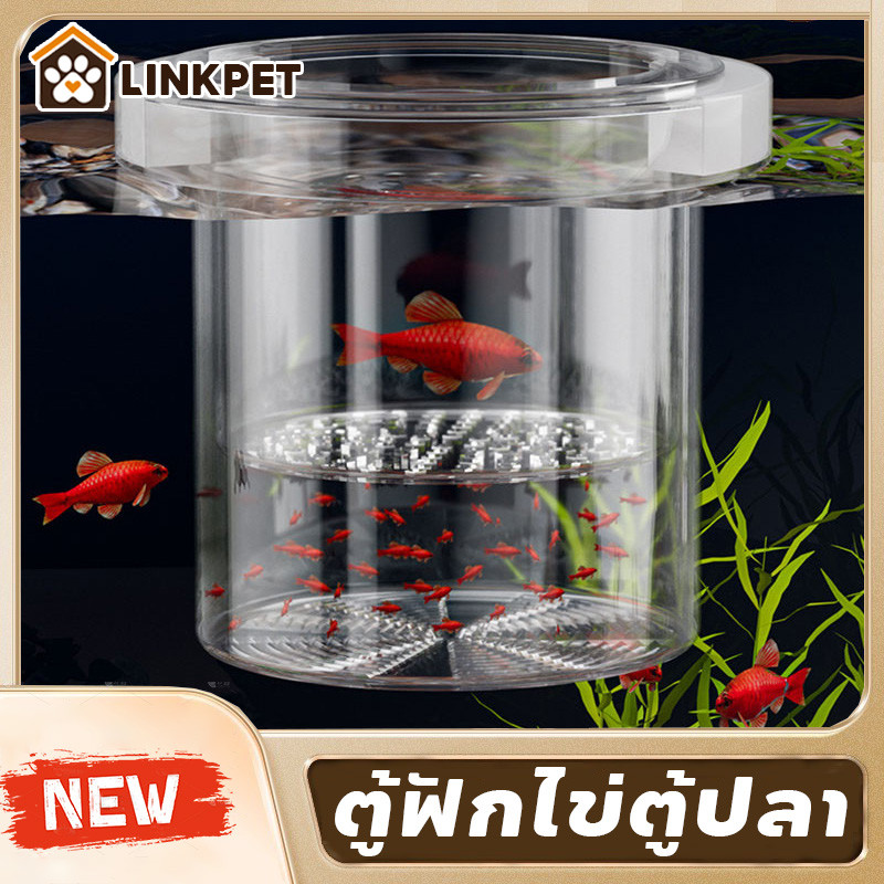 ตู้ฟักไข่ตู้ปลา กล่องแยกปลา ลอยอยู่ในน้ำ ปกป้องต้นอ่อน เพิ่มอัตราการรอดชีวิตของปลา ปกป้องไข่ปลา