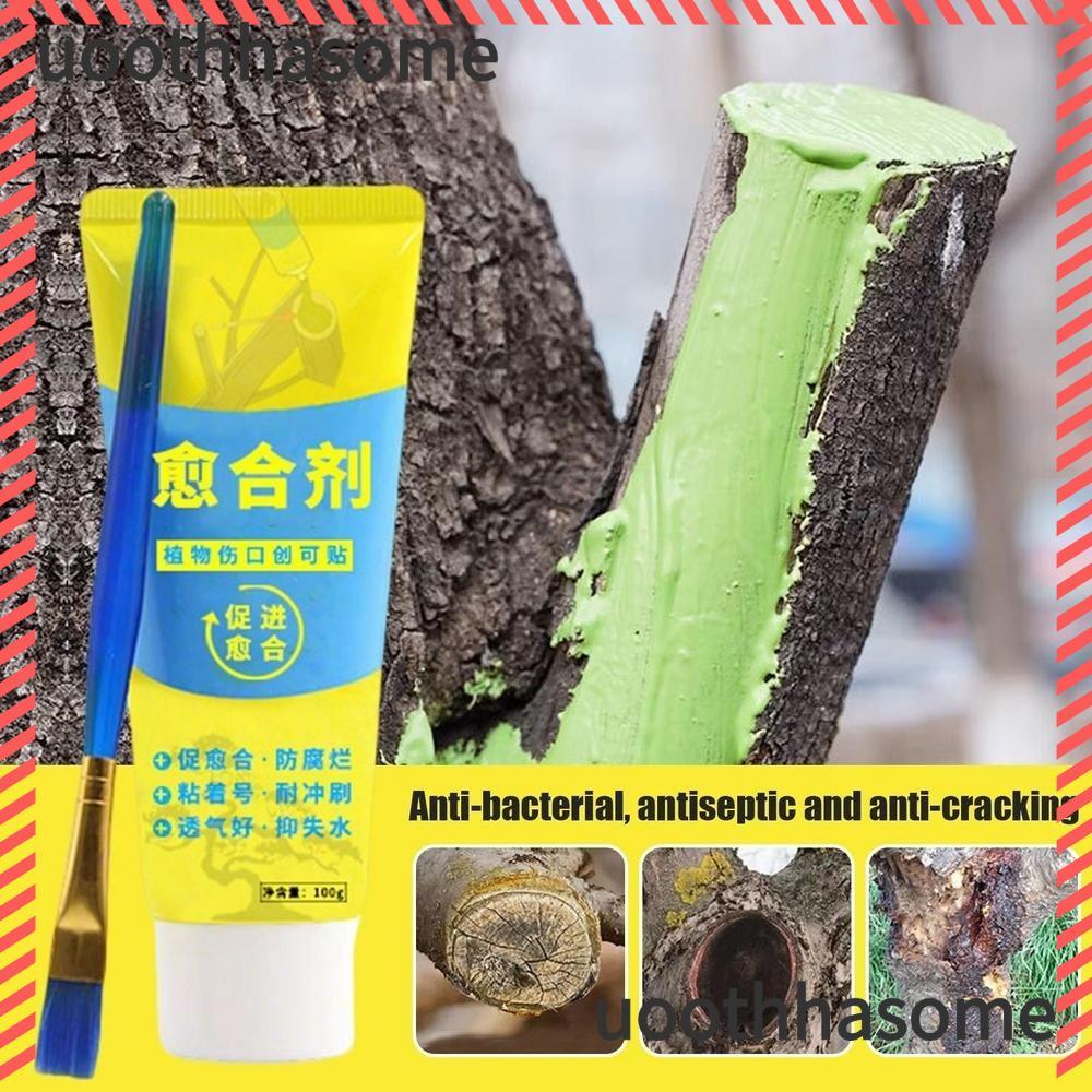 UOOTHASOME น้ํายาซีลแผลต้นไม้, ซ่อมแซมต้นไม้ Smear Agent Grafting Tree Sealer, 100g พร้อมแปรงบอนไซตัดวางใช้ทําสวน