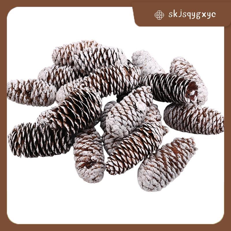 skjsqygxyc20 PCS Pine Cones ตกแต่ง, ธรรมชาติ Snow Pine Cones กรวยขนาดใหญ่ Pine Cone เครื่องประดับ