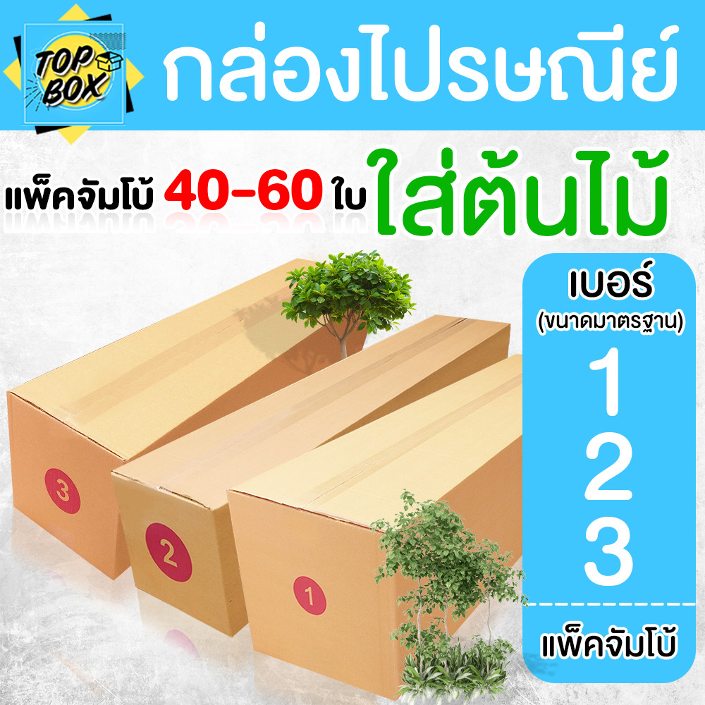 กล่องใส่ต้นไม้ กล่องไปรษณีย์ ฝาชน สีน้ำตาล (แพ็คจัมโบ้ 40-60 ใบ) เบอร์ 1,2,3 จ่าหน้า