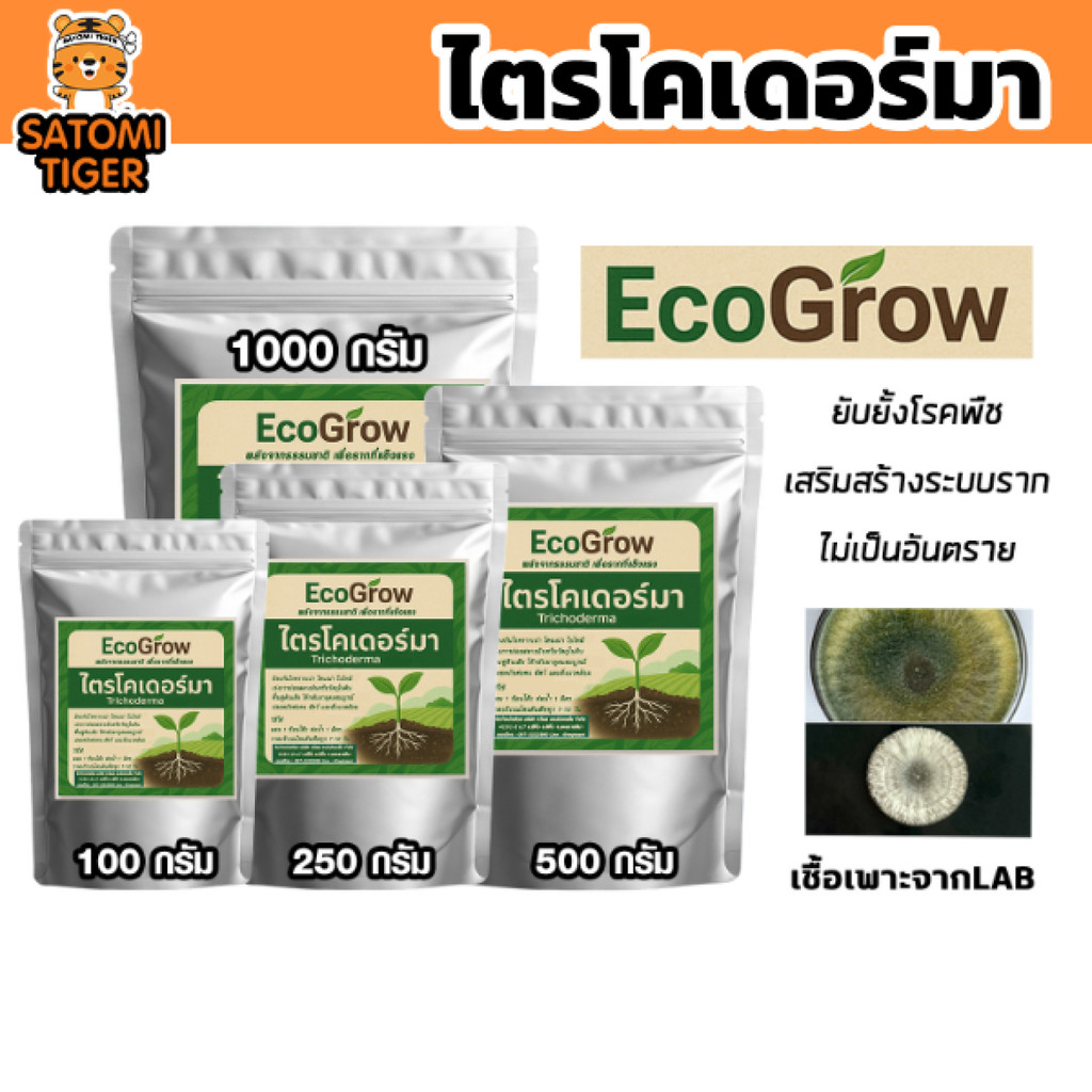 ไตรโคเดอร์ม่า มี 4ขนาด 100/250/500/1000กรัม ยี่ห้อ ECOGROW รากเน่า โคนเน่า ใบไหม้ เอาอยู่ ด้วยไตรโคเดอร์ม่าราคา