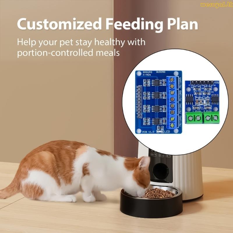 Weroyal Compactly L9110S โมดูลไดร์เวอร์มอเตอร์สําหรับการใช้งานบ้านอัจฉริยะ