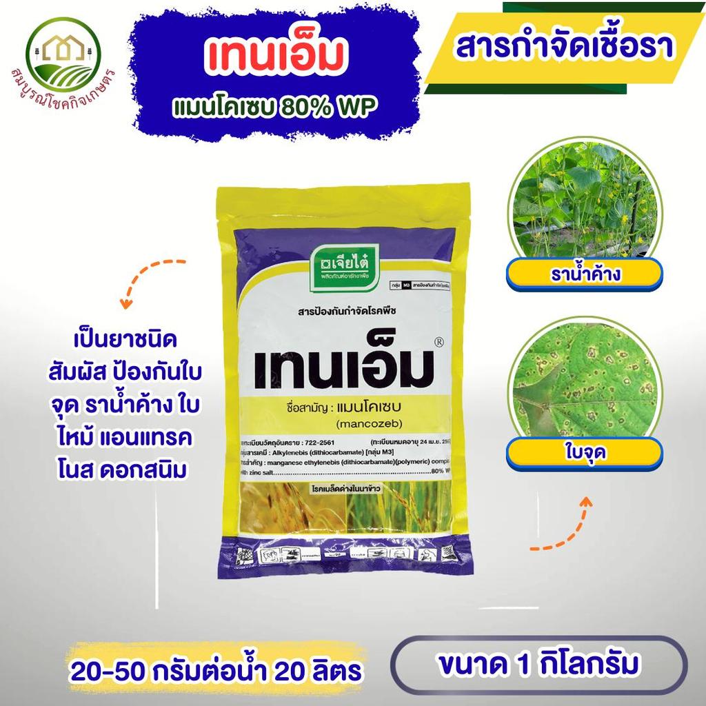 เทนเอ็ม แมนโคเซบ ผงสีเหลือง​ ขนาด 1 กก​ เจียไต๋ สารกำจัดเชื้อรา ราน้ำค้าง ราในดิน ราดโคนกันเน่าได้