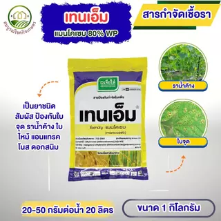 เทนเอ็ม แมนโคเซบ ผงสีเหลือง​ ขนาด 1 กก​ เจียไต๋ สารกำจัดเชื้อรา ราน้ำค้าง ราในดิน ราดโคนกันเน่าได้