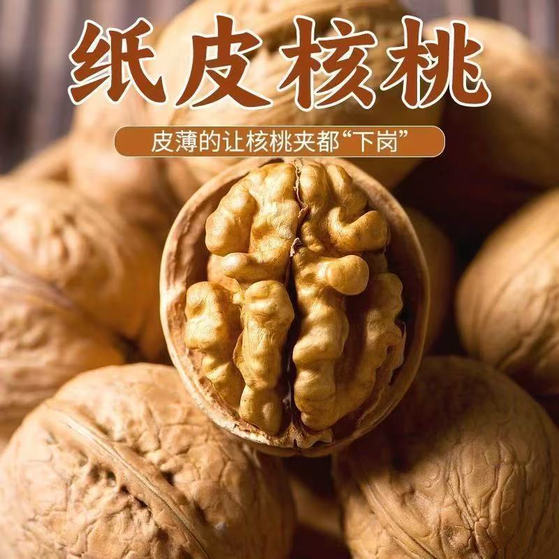 คัดอย่างเข้มงวด Xinjiang 185 Paper Skin Walnuts 500g Xin Walnuts Aksu Paper Skin Walnuts วอลนัทผิวบา