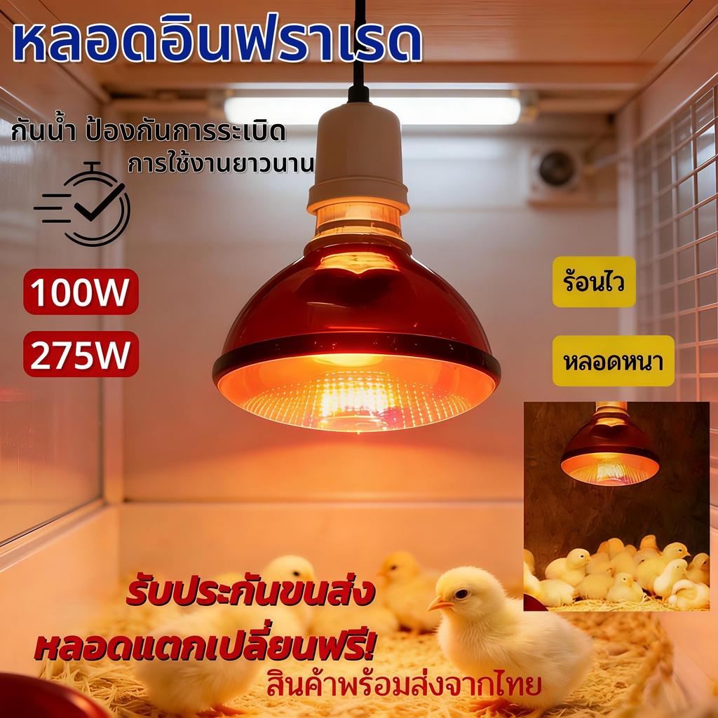 【HS】จัดส่งฟรี หลอดไฟอินฟาเรด กันน้ำ 100% ปลอดภัย ไม่แตกง่าย ไฟกกสัตว์เลี้ยง คลายหนาว ลูกหมูไก่สัตว์ปีก MC-M-100