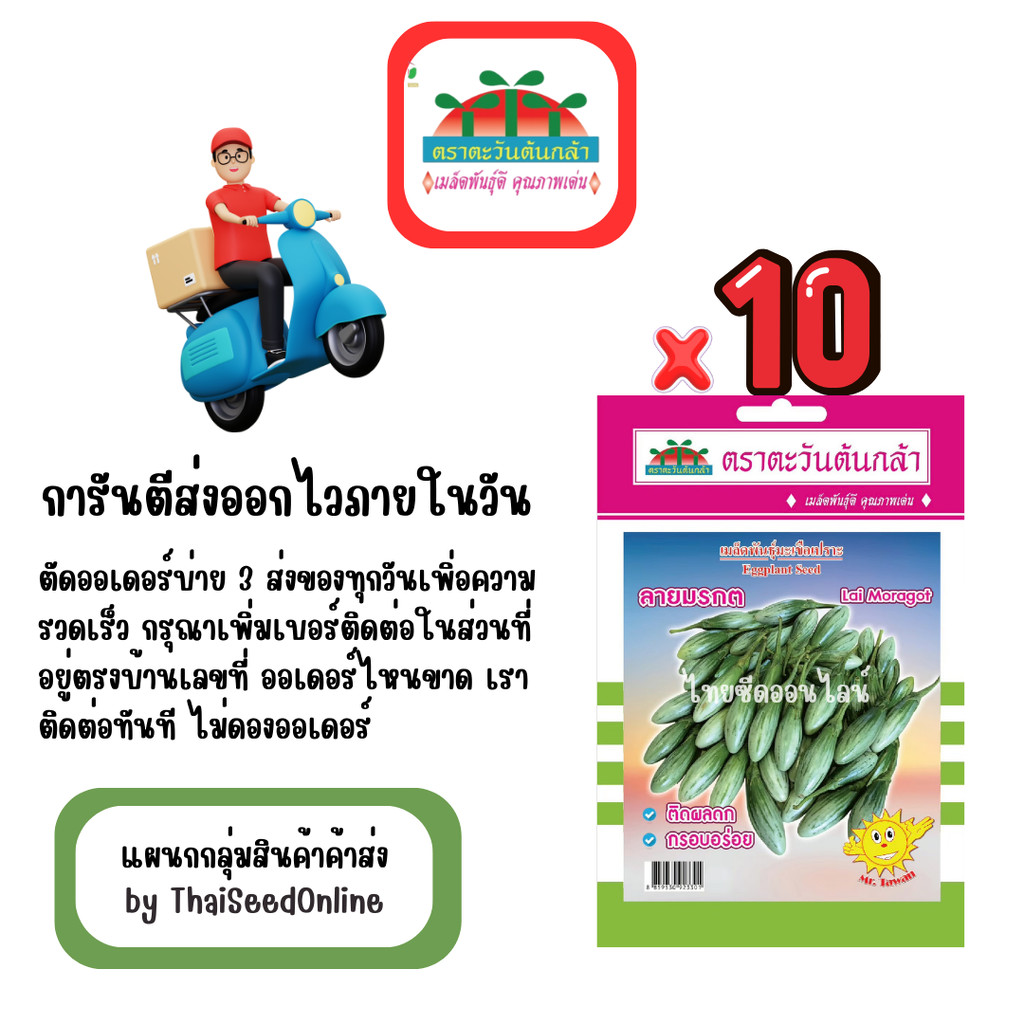 ADVOP x 10 เมล็ดผักซอง ตะวันต้นกล้า มะเขือไข่เต่ารักบี้ ลายมรกต สินค้ายกแพ็ค