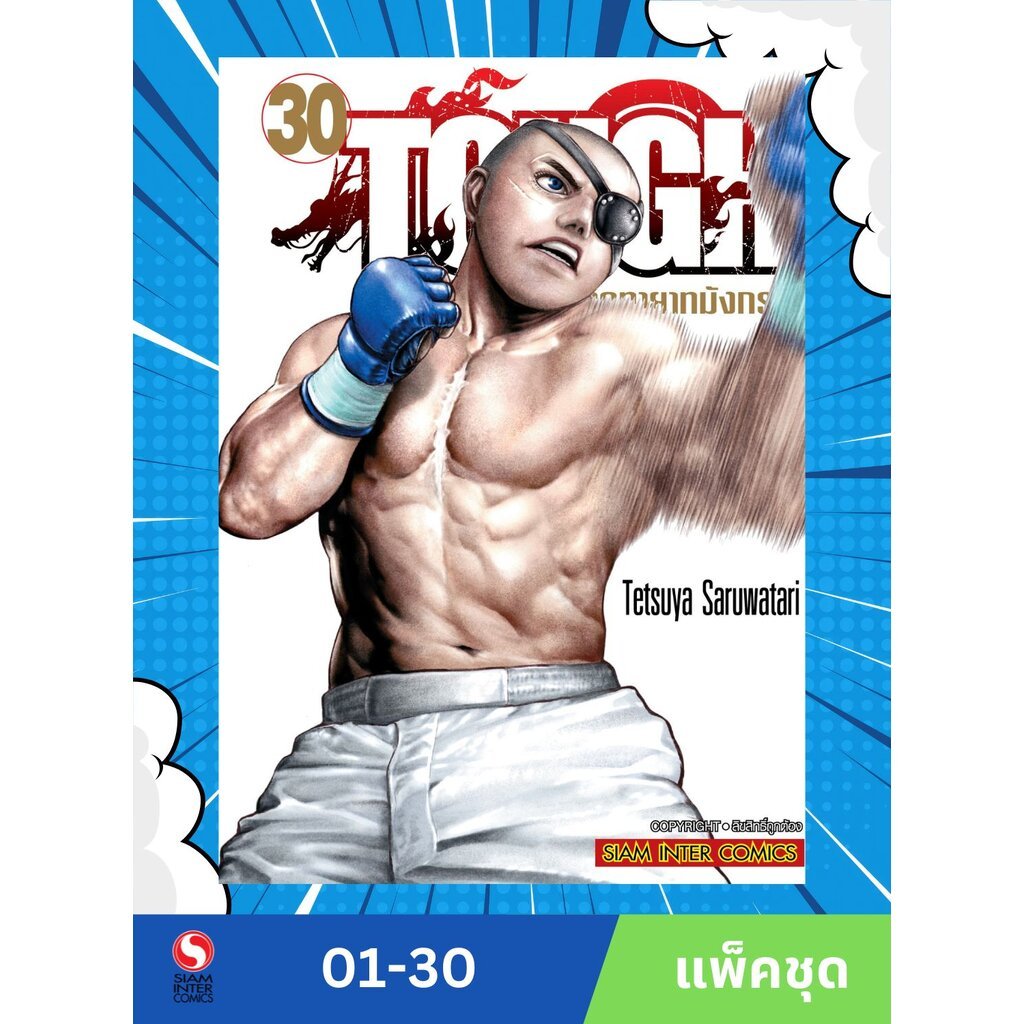 TOUGH ภาคทายาทมังกร เล่ม 1-30 (แพ็คชุด)