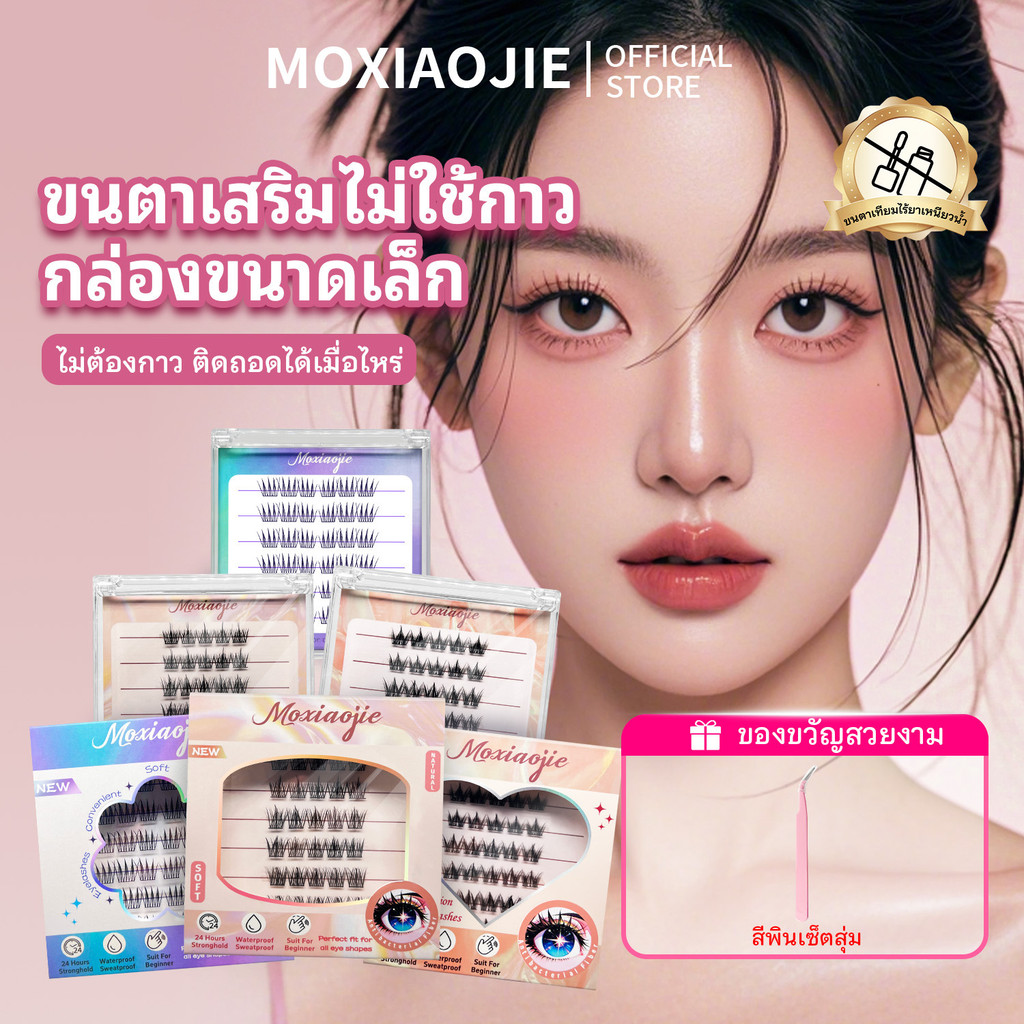 ขนตาปลอมแบบมีกาวในตัว 6 แถวธรรมชาติหนานุ่มคุณภาพสูงขนตาแพ็คประณีต