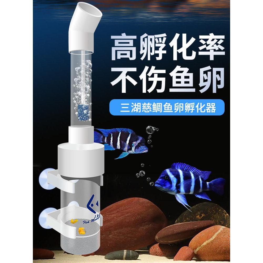 Hormonal化器 三 Fish Powder Powder Water Conditioning Shape Soatfish fruit热带fish Ornamental Fish egg In