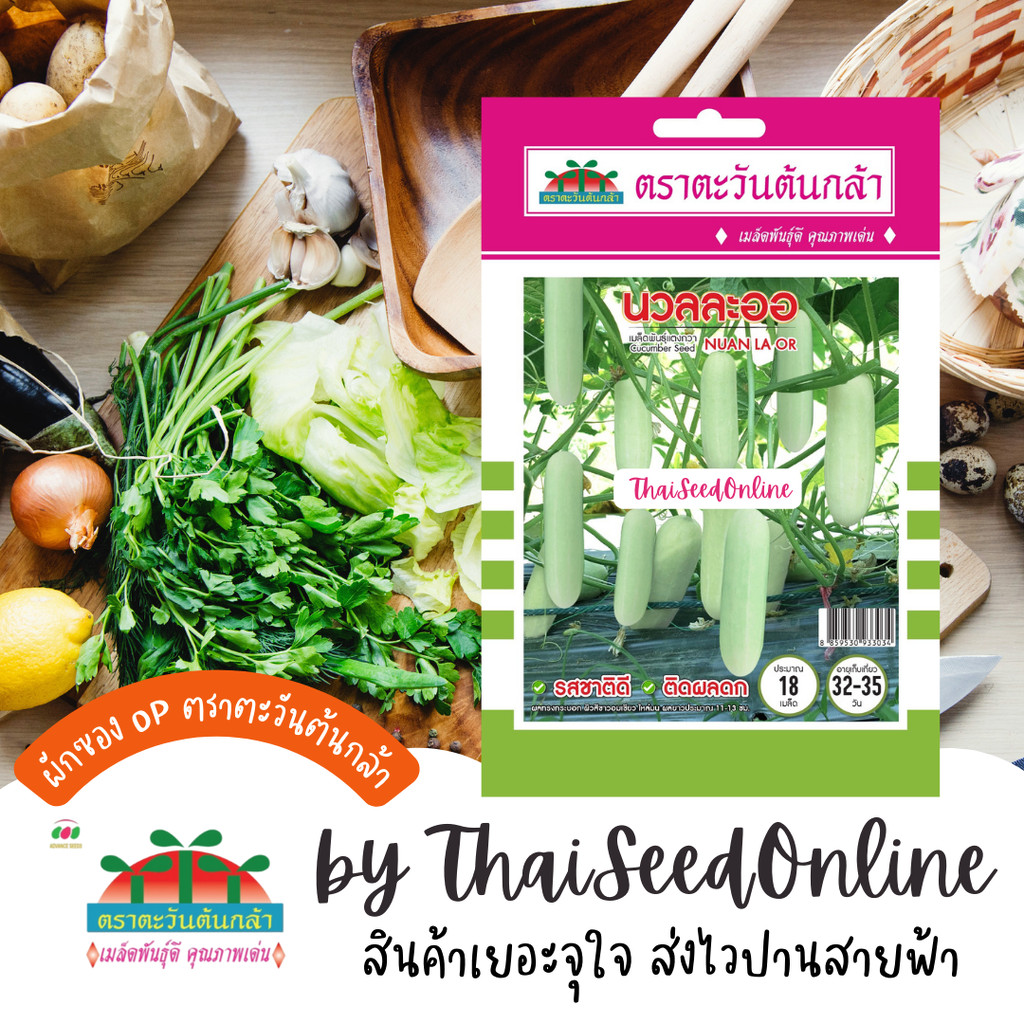 Advance Seeds(ตราตะวันต้นกล้า) ADVOP ซฟ เมล็ดพันธุ์ แตงกวา แตงกวาขาว แตงกวาสีขาว นวลละออ ตราตะวันต้นกล้า