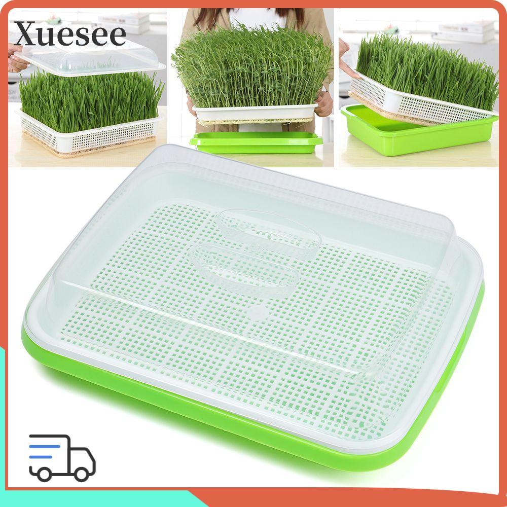 XUESEEE Grow Nursery Pots ถาด Hydroponic Home Garden Nursery Paper Plant Box