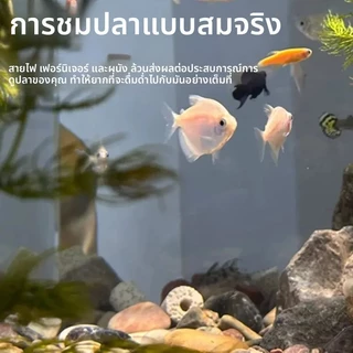 ฟิล์มติดกระจกแบบไม่มีรอยต่อ สติ๊กเกอร์พื้นหลังตู้ปลาสีดำทั้งหมด ไม่เกิดไฟฟ้าสถิต ไม่ต้องใช้กาว