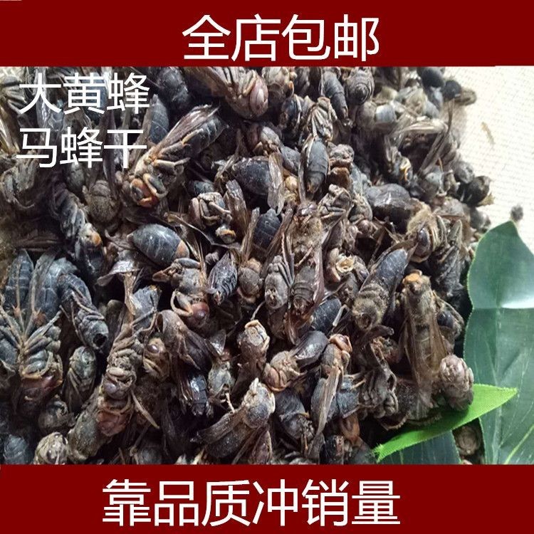 วัสดุ แตนแห้งผลิตภัณฑ์ใหม่ Wild Fresh Hornets Hornets Hornets Hornets ผลิตภัณฑ์ใหม่ยัง Locusts แห้ง 