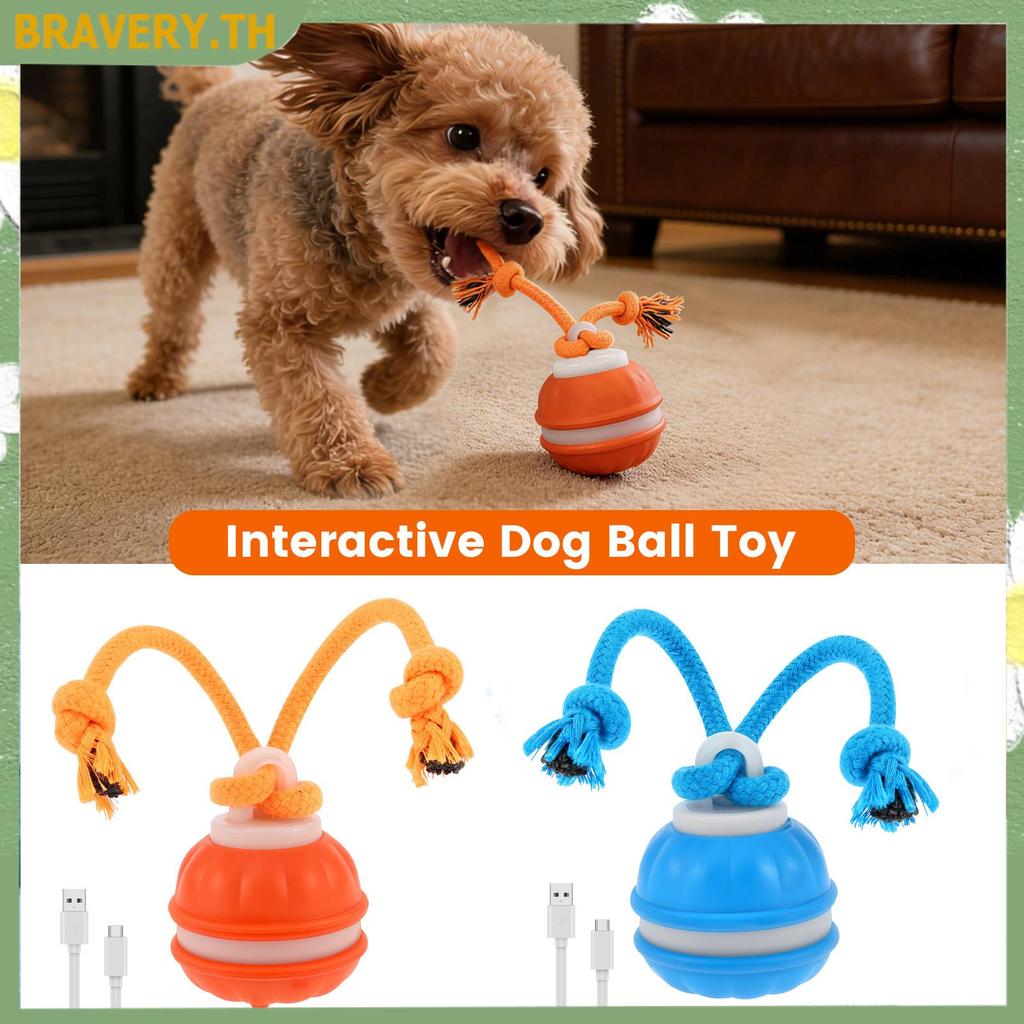 สุนัขของเล่นแบบโต้ตอบสําหรับเบื่อหน่ายแบบชาร์จกลิ้งอัตโนมัติย้ายย้ายดึงของเล่นพร้อมเชือก ร้านค้า7303