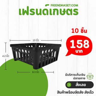 กระถาง กระถางกล้วยไม้ กระถางแขวน สี่เหลี่ยม 10 นิ้ว 10 25 50…